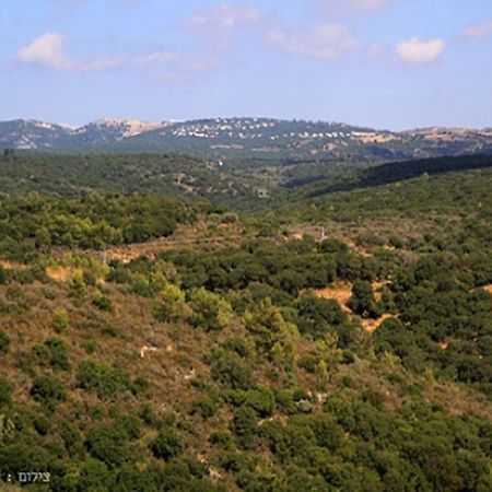 יערה Between Sunrise And Sunset Suites מראה חיצוני תמונה