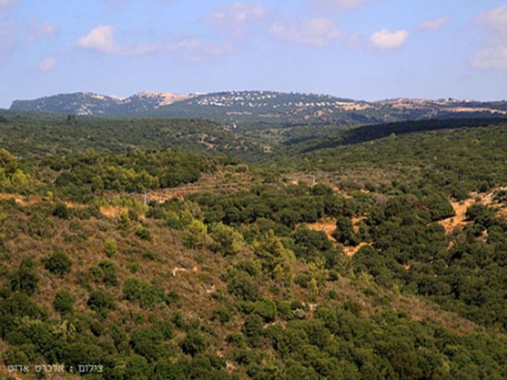יערה Between Sunrise And Sunset Suites מראה חיצוני תמונה